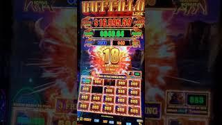 Hitting That Buffalo Link MAJOR Jackpot Is Always Nice! #shorts #buffalo #slots