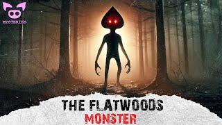 The Flatwoods Monster