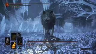 DS3 - Crit on Gravewolf NG+