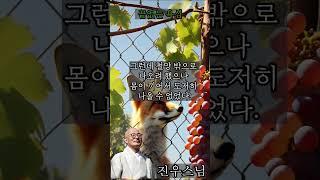 끝없는 욕심 - 진우스님의 오늘의 명상  #불교 #명상 #진우스님