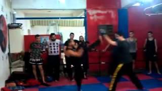Master rabih hamzeh