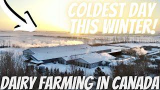 EXTREME Arctic Cold Front Hits Our Farm! 