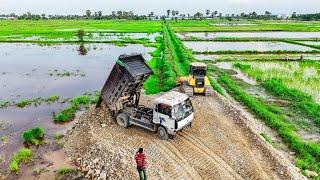 NEW UPDATE Building road process by 5Ton Dump truck Loading Rock soil & Dozer KOMATSU DR51PX Pushing