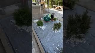 декоративные камни