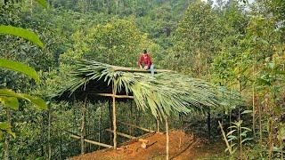 Eco-Friendly Chicken Coop: Build a Sustainable Home for Your Flock - Phùng Thị Chài