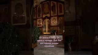 Дай Бог #сибирь #собор #церковь #молитва #плодпокаяния #вера #добро #правда #исправление #надежда
