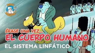 Erase Una Vez... El Cuerpo Humano - El sistema linfático