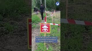 Гуманітарне розмінування теріторій у Харківській області здійснюють представники HALO Ukraine