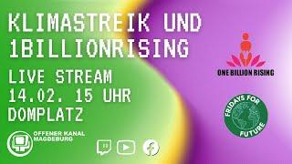 LIVE | Klimastreik zur Wahl & One Billion Rising