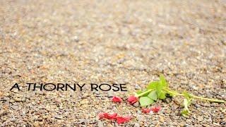"A Thorny Rose" - Kendal College - Film Challenge Four