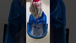 This Spanish floor cleaner is amazing  #cleaning #clean #spanish #tiktok #tiktokshop #viral #great