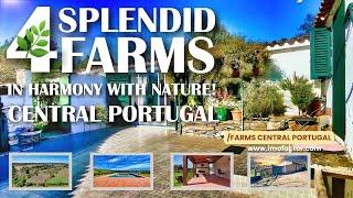 4 Splendid Farms in Harmony with Nature! | Central Portugal  