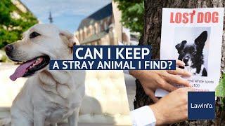 Can I Keep a Stray Animal I Find? | LawInfo