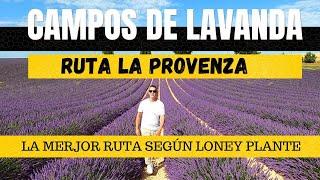 Ruta por los campos de Lavanda en Francia Furgoneta camper en la Provenza