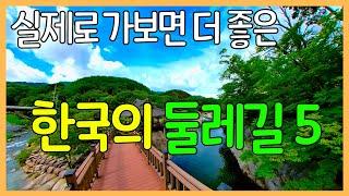 걷기 좋은 한국의 둘레길 5곳 | 대한민국 좋은 여행지 / 기분 좋은 트레킹 | Walking Trails in Korea / Trekking Road