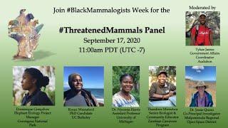 #BlackMammalogistsWeek: Threatened Mammals Panel