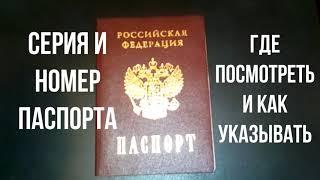 Где посмотреть серию и номер паспорта Где находится серия и номер паспорта РФ