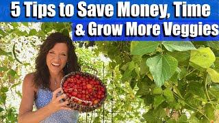 5 Easy Garden Tips to Save Money, Time, and Grow More Vegetables! ⏰