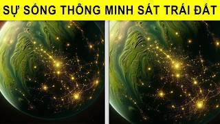 Sự sống thông minh nghi đang tồn tại ở nơi sát trát đất! | Thiên Hà TV