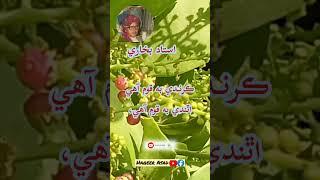 Ustad Bukhari  Sindhi poetry