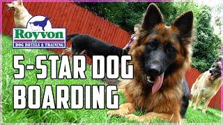 5 Star Dog Boarding in the UK