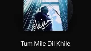 Tum mile Dil Khile - Vinay Negi | Cover 2020