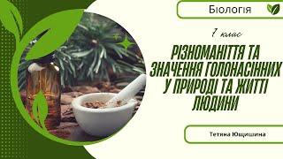 Урок 22. Різноманіття та значення Голонасінних у природі та житті людини. 7 клас. НУШ