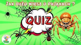 QUIZ dla dzieci.  Co wiesz o PAJĄKACH ???