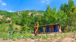 Morning to Evening Routine _ Nomadic Life in the Mountains of Iran