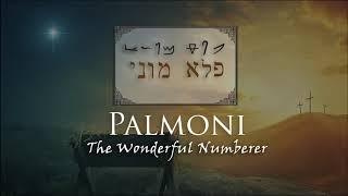 Palmoni: The Wonderful Numberer