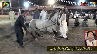 Anmol lDur e Najaf l Horse Dance 30 September 2023 l Mehmood Pura Chak No 1 Nankana