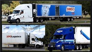 Truckspotting Freightliner Cascadia Bimbo Bear, XPO, Peterbilt Marten113024