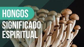 ️ ¡No ignores esto!: Qué SIGNIFICAN los HONGOS en tu JARDÍN