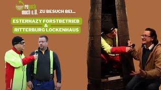 Esterhazy Forstbetrieb  &  Ritterburg Lockenhaus - repack much e.U. - Folge 2