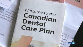 Why Alberta is planning to opt out of federal dental plan