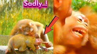 What Wrong Happen To Adorable B_aby, Rainbow? Primate Kh