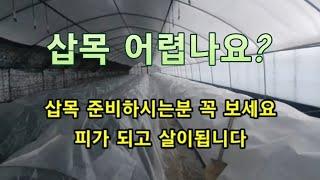 삽목 준비하시는분 꼭 보세요