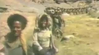 Eritrean EPLF Revolutionary Music 1985 | Wudbna Mezmur | ውድብና መዝሙር