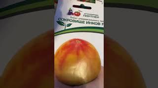 Помидоры на рассаду. Как я сажаю томаты на рассаду в марте