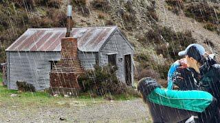 Sheltering with my dog from HEAVY RAIN and wind in a backcountry hut