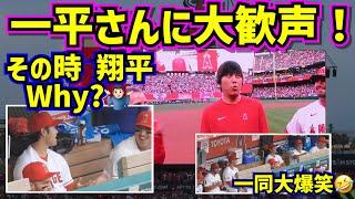 開幕セレモニーで一平さんに大歓声‼️その時大谷がWhy?ダグアウト大爆笑【現地映像】4/7vsブルージェイズ ShoheiOhtani Angels