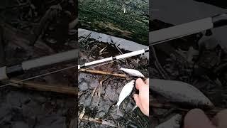 зимняя рыбалка на донные снасти, плотва, winter fishing,