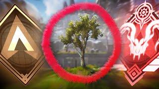 The Tree that broke Apex Ranked [0 Damage to Predator]