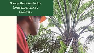 SECRETS OF OIL PALM ESTATES PROFIT MANAGEMENT