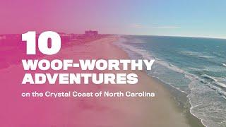 10 Dog-Friendly Adventures on the Crystal Coast of North Carolina