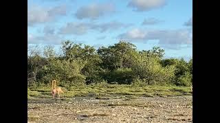 First day Bonaire