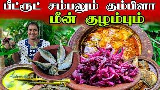 பீட்ரூட் சம்பலும் கும்பிளா மீன் குழம்பும் | Village cooking  | vanni vlog