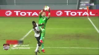 Elhadry Egyptian goalkeeper