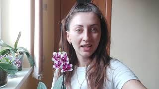 На моем канале Райские Цветы и происходят чудеса Новой жизни, скорее посмотрите #орхидеи #цыплята