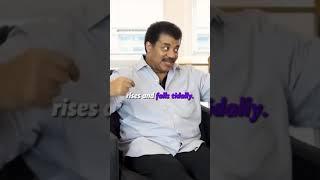 You have to watch this